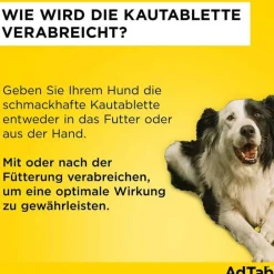™ Kautabletten für extra große Hunde 900 mg 22 bis 45 kg, 3 St^Adtab Discount