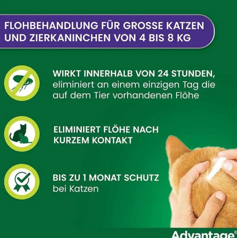 Advantage Nager|Flöhe, Zecken & Co.-80 für große Katzen und Zierkaninchen ab 4 kg, 4X0.8 ml