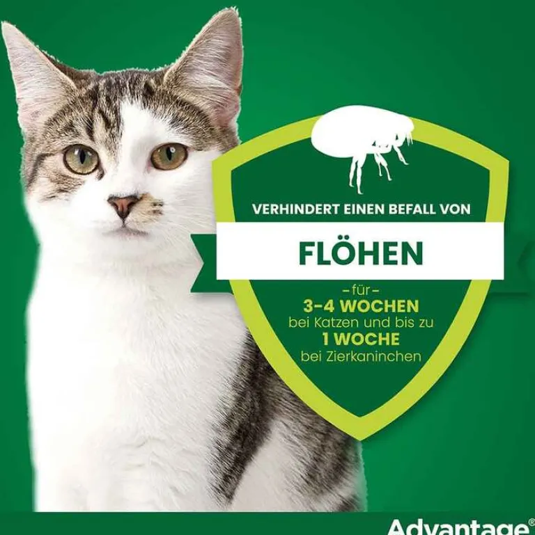 Advantage Nager|Flöhe, Zecken & Co.-80 für große Katzen und Zierkaninchen ab 4 kg, 4X0.8 ml