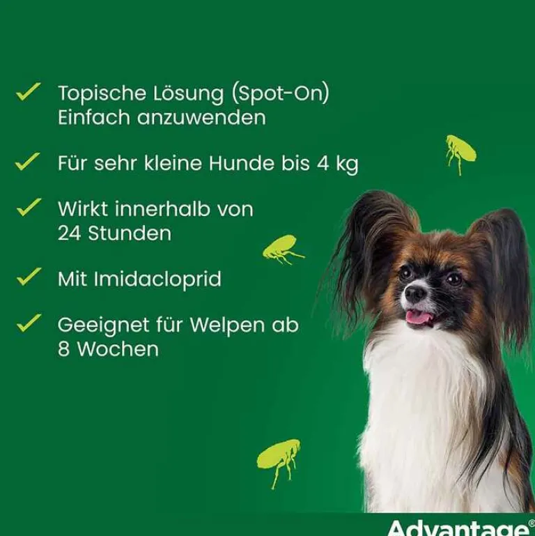 Advantage 40 für Hunde bis 4 kg, 4 St- Flöhe, Zecken & Co.