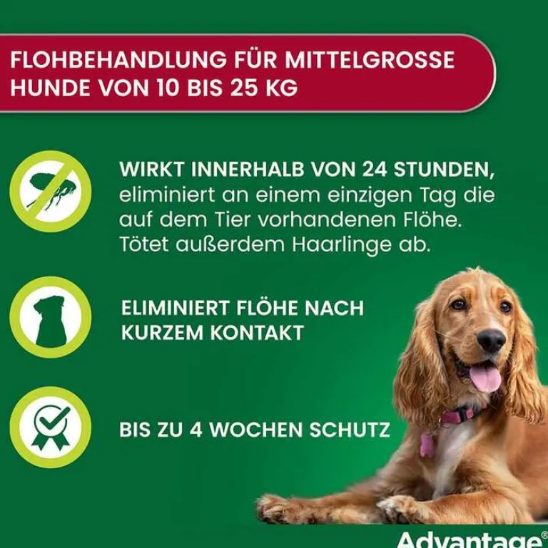 Advantage 250 für Hunde von 10-25 kg, 4 St- Flöhe, Zecken & Co.