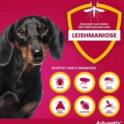 Advantix Flöhe, Zecken & Co.-Spot-on Hund 4 - 10 kg Lösung, 4 St