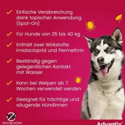 Advantix Flöhe, Zecken & Co.-Spot-on Lösung z.Auftr.a.d.H.für Hund 25 - 40 kg, 4X4.0 ml
