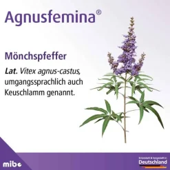 Agnusfemina 4 mg Filmtabletten , 30 St- Pms Behandeln