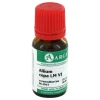 Allium cepa LM 6 Dilution, 10 ml^Arcana Sale
