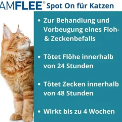 50 mg Spot-On für Katzen, 3 St^Amflee Sale