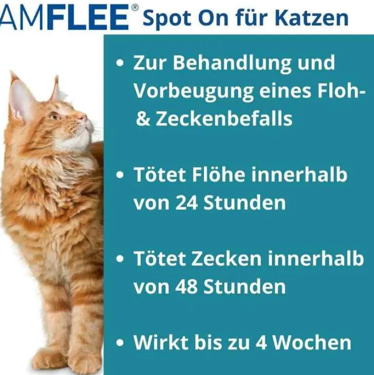 50 mg Spot-On für Katzen, 3 St^Amflee Sale