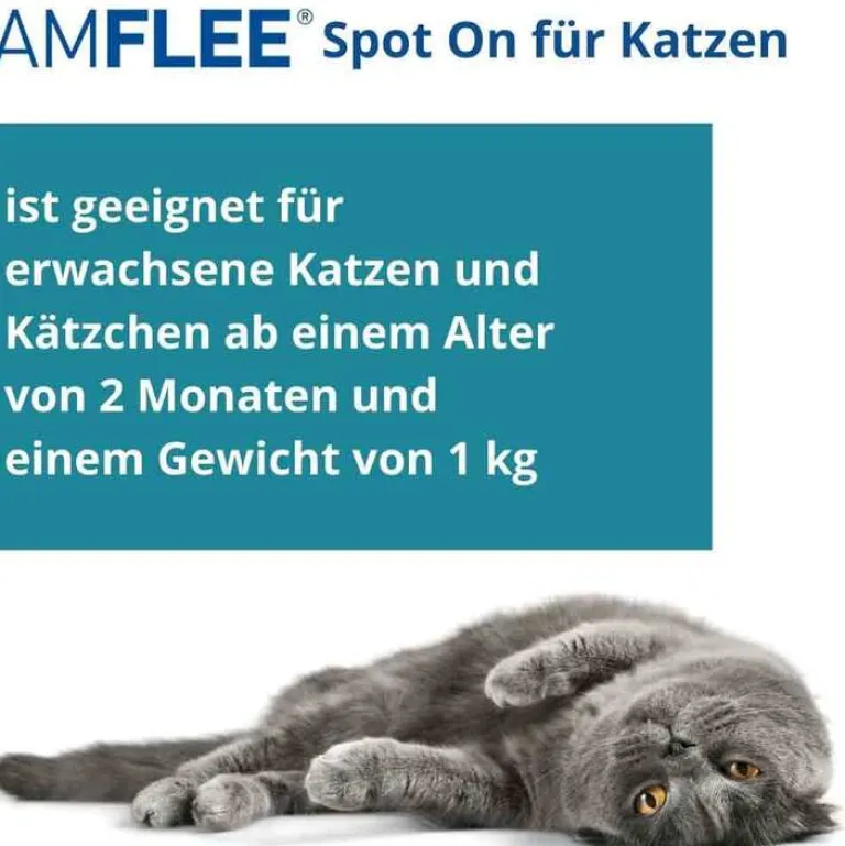 50 mg Spot-On für Katzen, 3 St^Amflee Sale