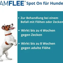 Amflee Flöhe, Zecken & Co.-402 mg Spot-On für sehr große Hunde, 3 St