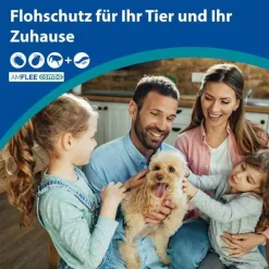 Amflee combo 67/60,3 mg Lösung zum Auftropfen für Hunde 2-10 kg, 3 St- Flöhe, Zecken & Co.