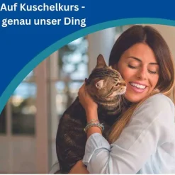 combo 50 mg/60 mg Lösung zum Auftropfen für Katzen, 3 St^Amflee