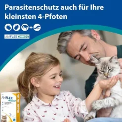 combo 50 mg/60 mg Lösung zum Auftropfen für Katzen, 3 St^Amflee