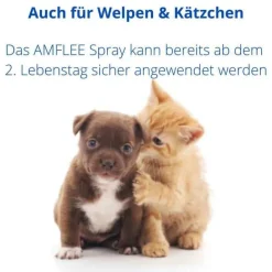 Spray für Katzen und Hunde, 100 ml^Amflee Outlet