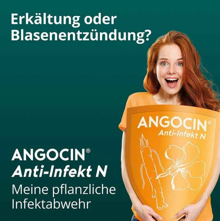 Anti-Infekt N Filmtabletten, 500 St^Angocin Hot
