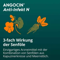 Anti-Infekt N Filmtabletten, 500 St^Angocin Hot