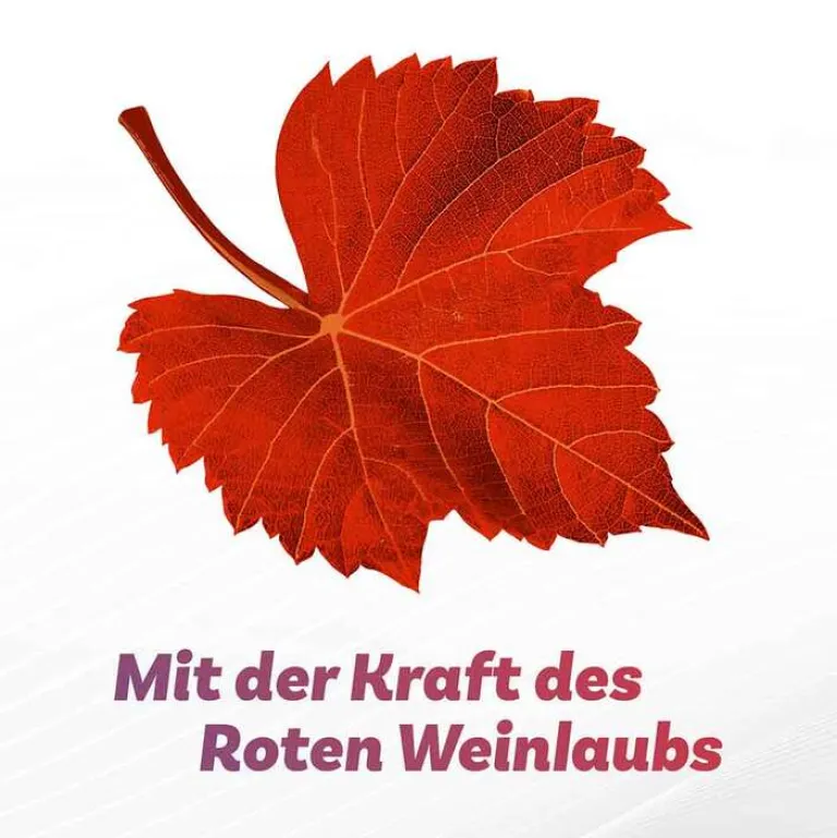 Antistax ® extra Venentabletten bei Krampfadern, 60 St- Venenleiden