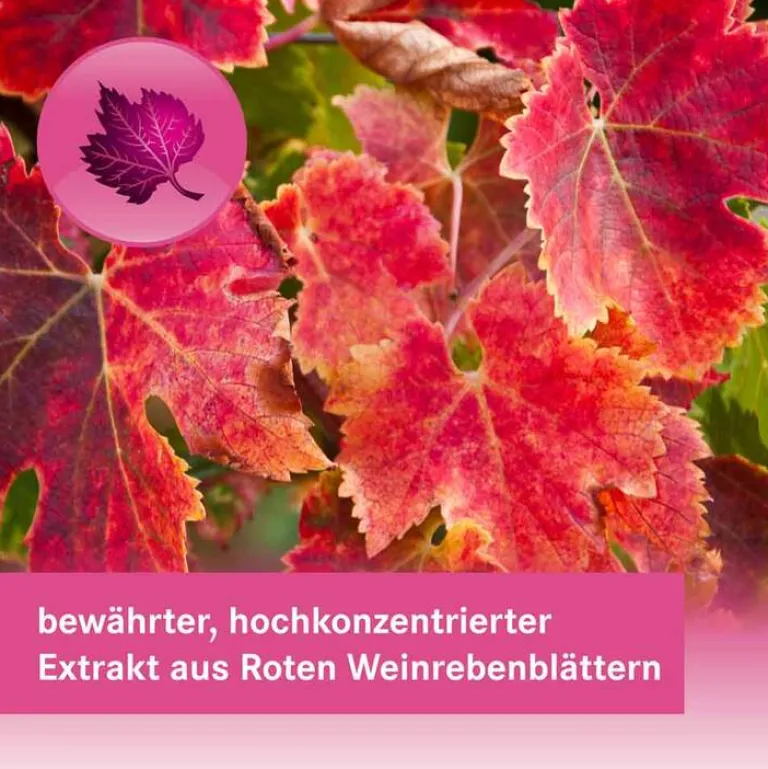 Antiveno Venenleiden-Venentabletten 360 mg Filmtabletten, 90 St