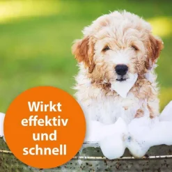 ARDAP Flöhe, Zecken & Co.-Anti-Zecken Shampoo für Hunde, 250 ml