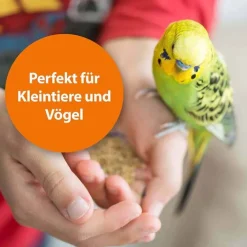 Milben- und Zeckenspray für Nager und Ziervögel, 100 ml^ARDAP Best