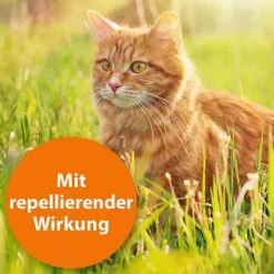Zecken- / Flohschutzhalsband Katzen ab 4. Monat, 1 St^ARDAP Best