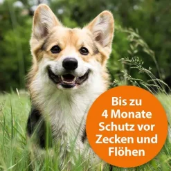 ARDAP Flöhe, Zecken & Co.-Zecken-/Flohschutzhalsband große Hunde über 25 kg, 1 St