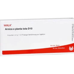 Arnica E Planta tota D 10 Ampullen, 10X1 ml- Verletzungen