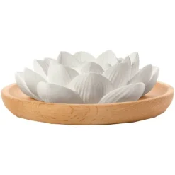 Aroma Duftstein Lotusblüte, 1 St^Primavera Best