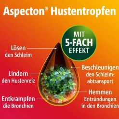 Aspecton Hustenlöser-® Hustentropfen, 30 ml