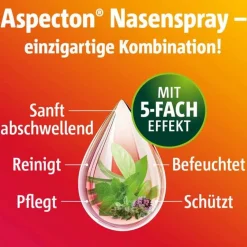 ® Nasenspray, 20 ml^Aspecton Hot