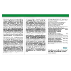 Vision Healthcare Astaxanthin Royal 6 mg hochdosiert vegan Kapseln, 60 St- Astaxanthin