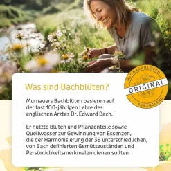 Murnauers Bachblüten Murnauer Original Tropfen nach Dr. Bach, 10 ml- Bachblütentropfen