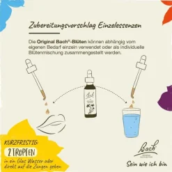 Original Bachblüten Bachblütentropfen-Bachblüten Nr. 1 Agrimony Tropfen, 20 ml