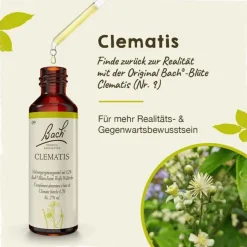 Original Bachblüten Bachblüten Nr. 9 Clematis Tropfen, 20 ml- Bachblütentropfen