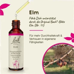 Bachblüten Nr. 11 Elm Tropfen, 20 ml^Original Bachblüten Online