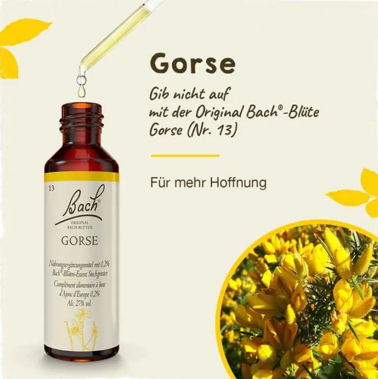 Original Bachblüten Bachblüten Nr. 13 Gorse Tropfen, 20 ml- Bachblütentropfen