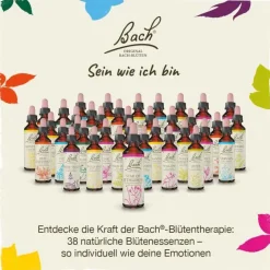 Original Bachblüten Bachblütentropfen-Bachblüten Nr. 14 Heather Tropfen, 20 ml