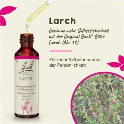 Bachblüten Nr. 19 Larch Tropfen, 20 ml^Original Bachblüten
