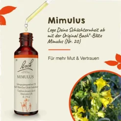 Bachblüten Nr. 20 Mimulus Tropfen, 20 ml^Original Bachblüten Sale
