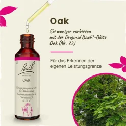 Bachblüten Nr. 22 Oak Tropfen, 20 ml^Original Bachblüten Hot