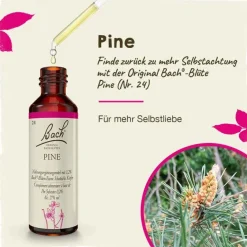 Bachblüten Nr. 24 Pine Tropfen, 20 ml^Original Bachblüten