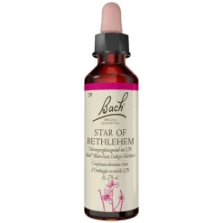 Original Bachblüten Bachblüten Nr. 29 Star of Bethlehem Tropfen, 20 ml- Bachblütentropfen