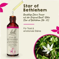 Original Bachblüten Bachblüten Nr. 29 Star of Bethlehem Tropfen, 20 ml- Bachblütentropfen