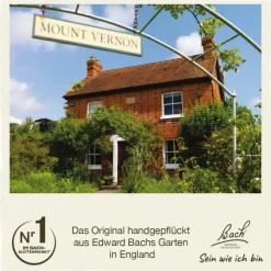 Original Bachblüten Bachblüten Nr. 29 Star of Bethlehem Tropfen, 20 ml- Bachblütentropfen