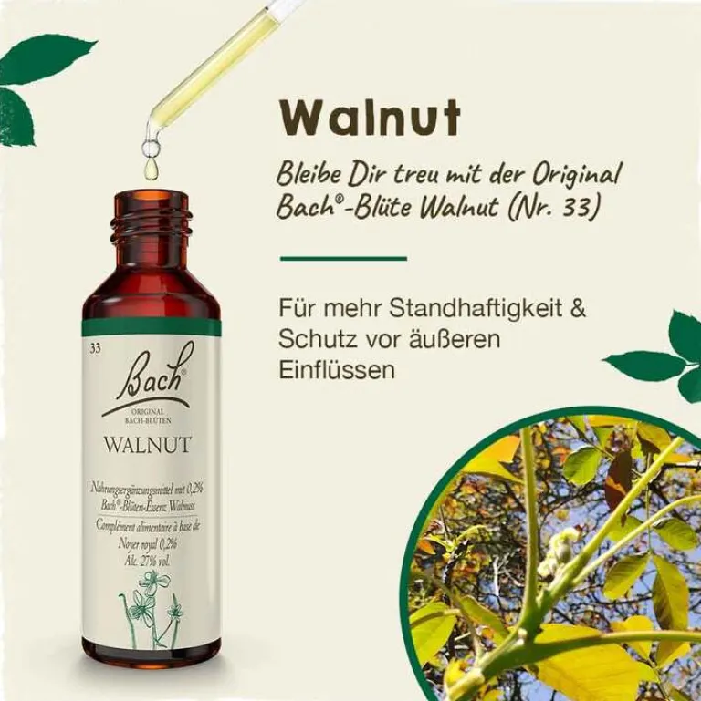 Bachblüten Nr. 33 Walnut Tropfen, 20 ml^Original Bachblüten Best