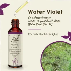 Bachblüten Nr. 34 Water Violet Tropfen, 20 ml^Original Bachblüten Clearance