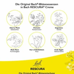 Bachblüten Original Creme, 30 ml^Rescura Outlet