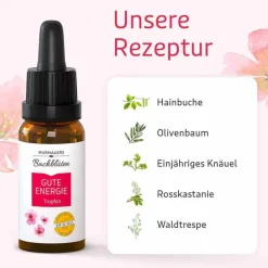 Murnauers BB Gute Energie Tropfen, 20 ml- Bachblütentropfen