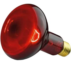 Beurer Infrarotlampen-Glühbirne Infrarotlicht 100W, 1 St