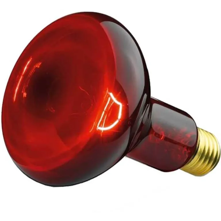 Beurer Infrarotlampen-Glühbirne Infrarotlicht 100W, 1 St