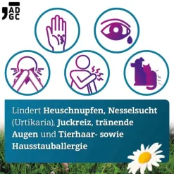 ADGC Bilastin 20 mg Tabletten bei Allergie, 6 St- Bilastin|Allergie Tabletten